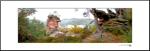 Panoramiques